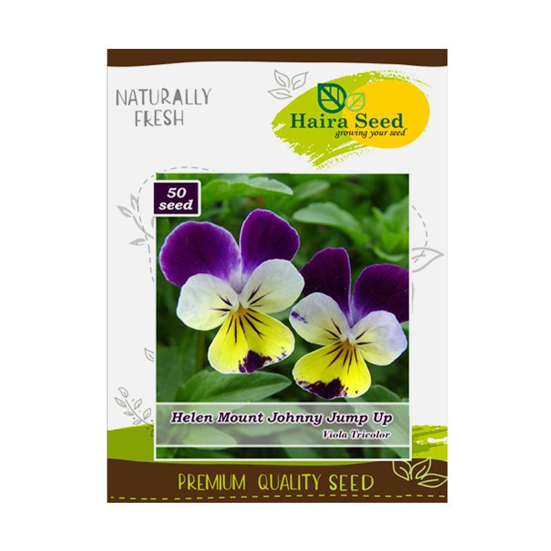 500+ Gambar Bunga Viola HD Terbaru - Gambar ID