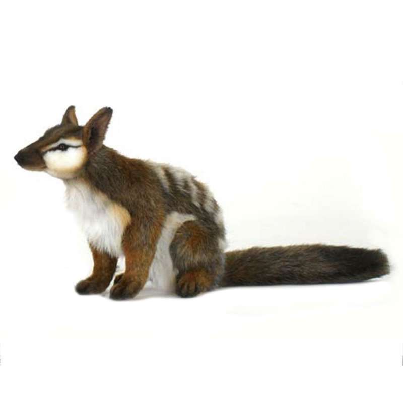 Jual Hansa Numbat Plush Toy (30cm) di Seller LatestBuy Australia Blibli