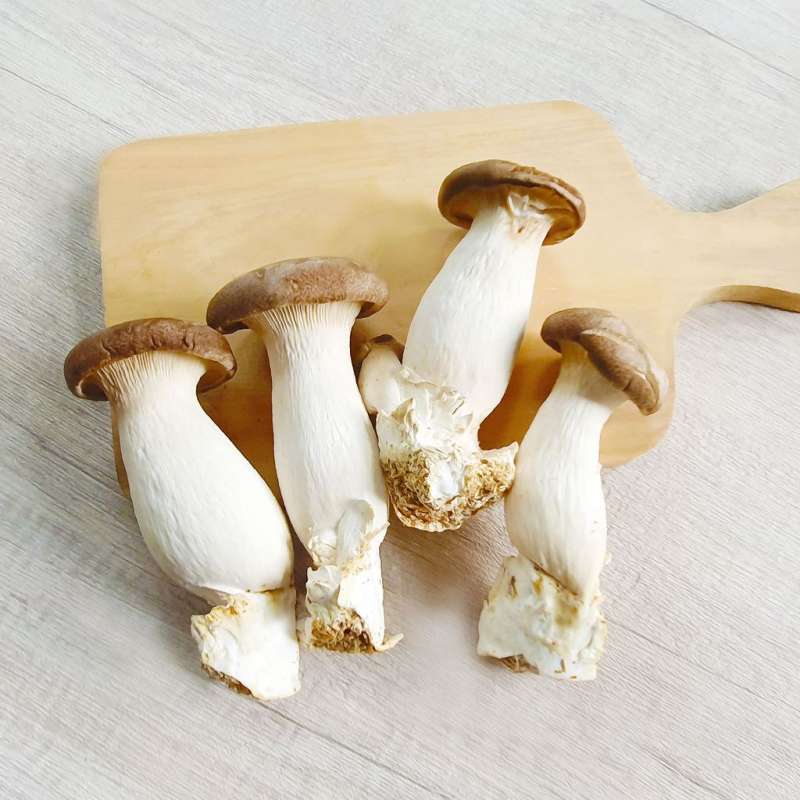 Promo Rumah Sayur Alam Sutera Jamur Tiram Raja / King Oyster / Eringi