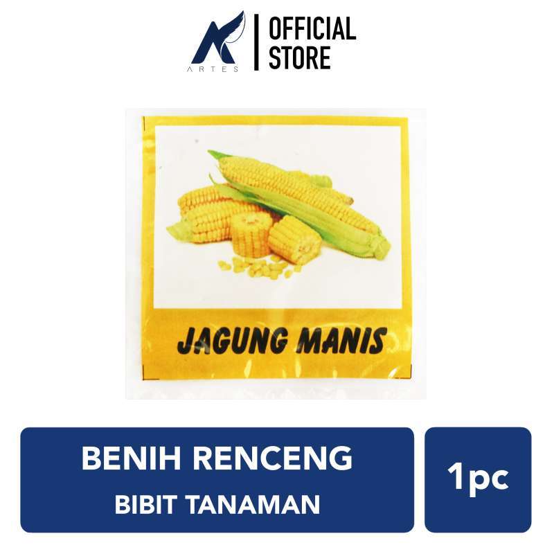 Siip Renceng Jual BENIH RENCENG Siap Tanam Sayuran-Buah-Lalapan Seladah-Terong Ungu ...