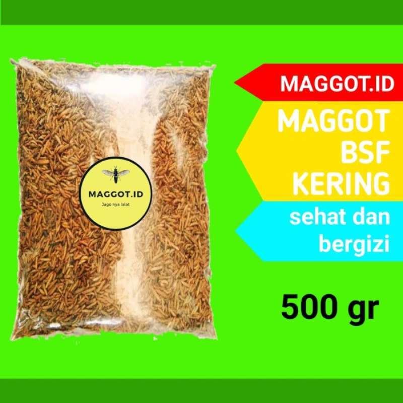 Jual Maggot Bsf Magot Kering Premium Magot Oven Pakan Ikan Koi Burung