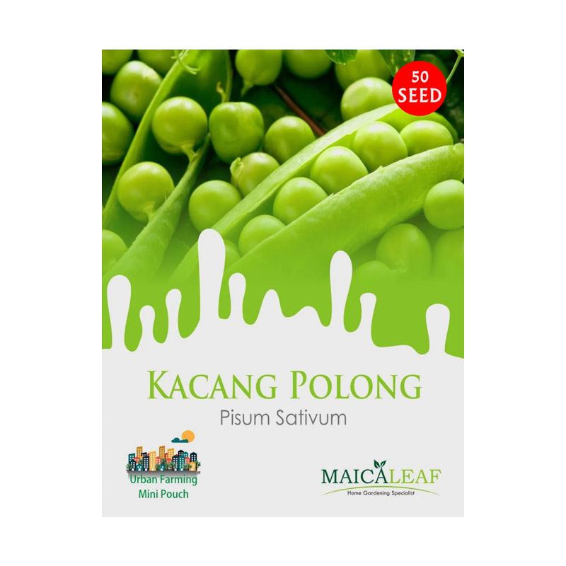 Jenis Kacang Ercis Pisum Sativum Tts : Kacang ercis (pisum sativum