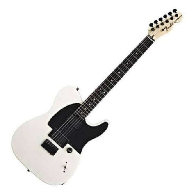 Jual Fender Artist Jim Root Telecaster Guitar, Ebony Neck, Flat White