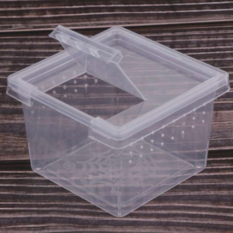 Jual 40x Insect Reptile Spider Terrariums Breeding Box Hatching ...