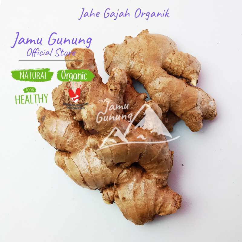 Jual Jahe Gajah Organik 1 kg Kualitas Ekspor di Seller Jamu Gunung