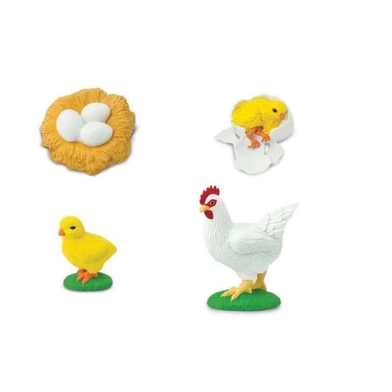 Jual Safari Ltd Life Cycle Of A Chicken Di Seller Kiedler - Petir, Kota ...