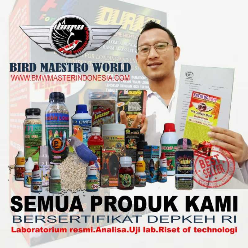Racikan Jamu Lovbirt Konslet Untuk Betina / Racikan Jamu ...
