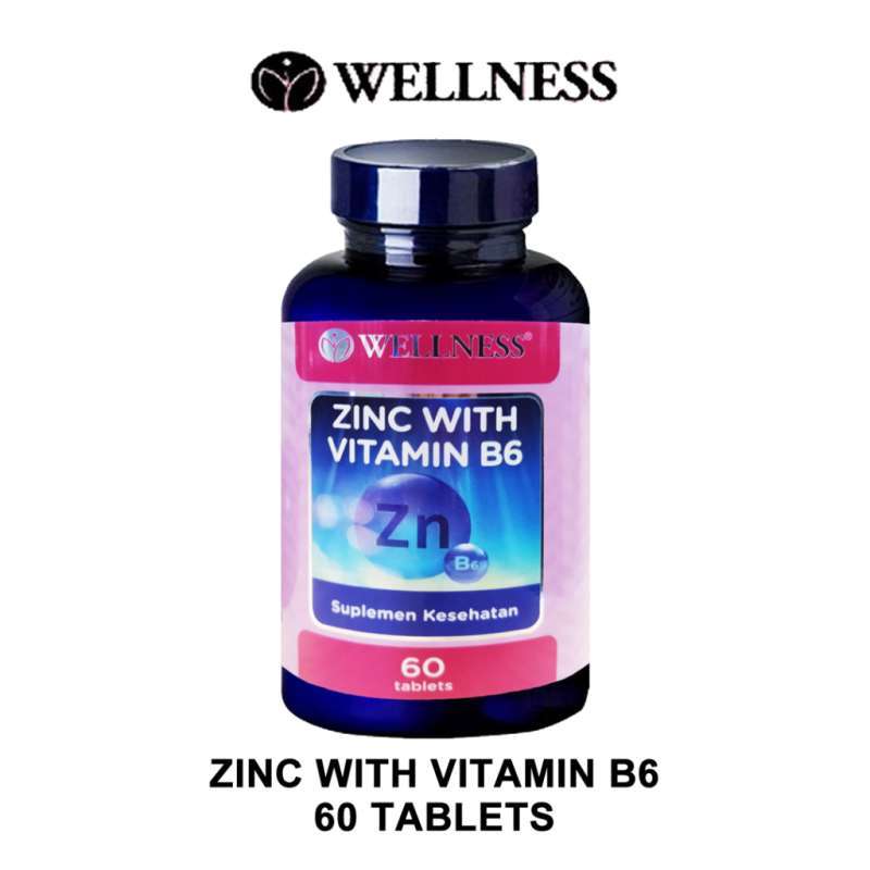 Jual WELLNESS ZINC WITH VITAMIN B6 SUPLEMEN KESEHATAN OTAK DAYA INGAT