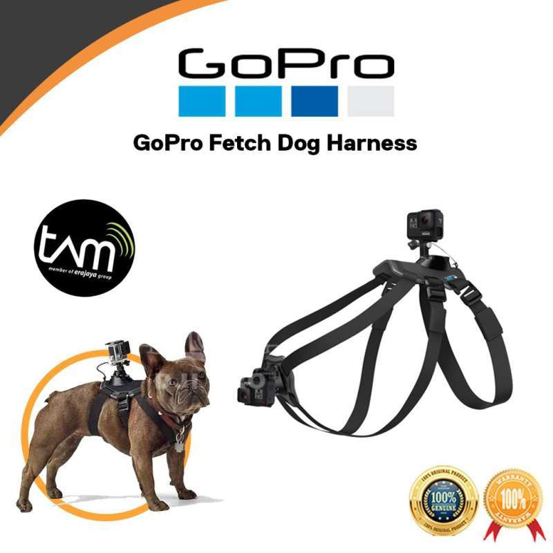 Jual Gopro Fetch Dog Harness Di Seller Dg Pro Official Store Mangga