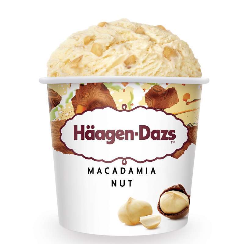 Promo HaagenDazs Ice Cream Pint 473ml Ukuran Besar Macadamia Nut