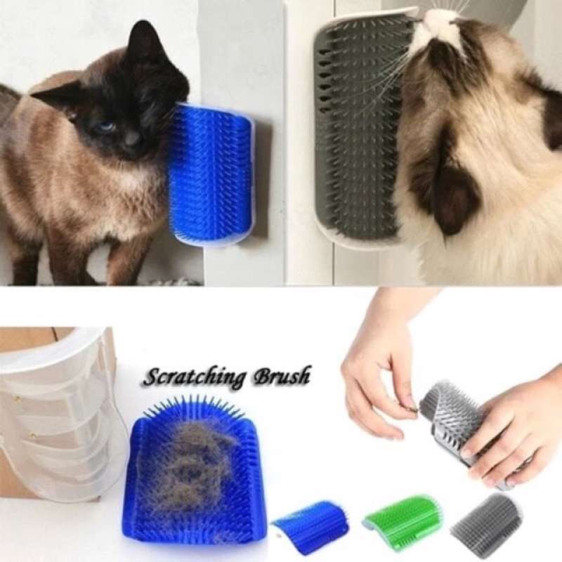 Jual Cat Self Brush 🏷️ Original Terbaru, Terlengkap, & Harga Termurah ...