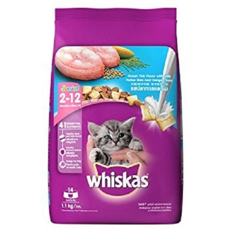 Jual Whiskas Junior 1.1 Kg Makanan Kucing Kitten Kering Di Seller