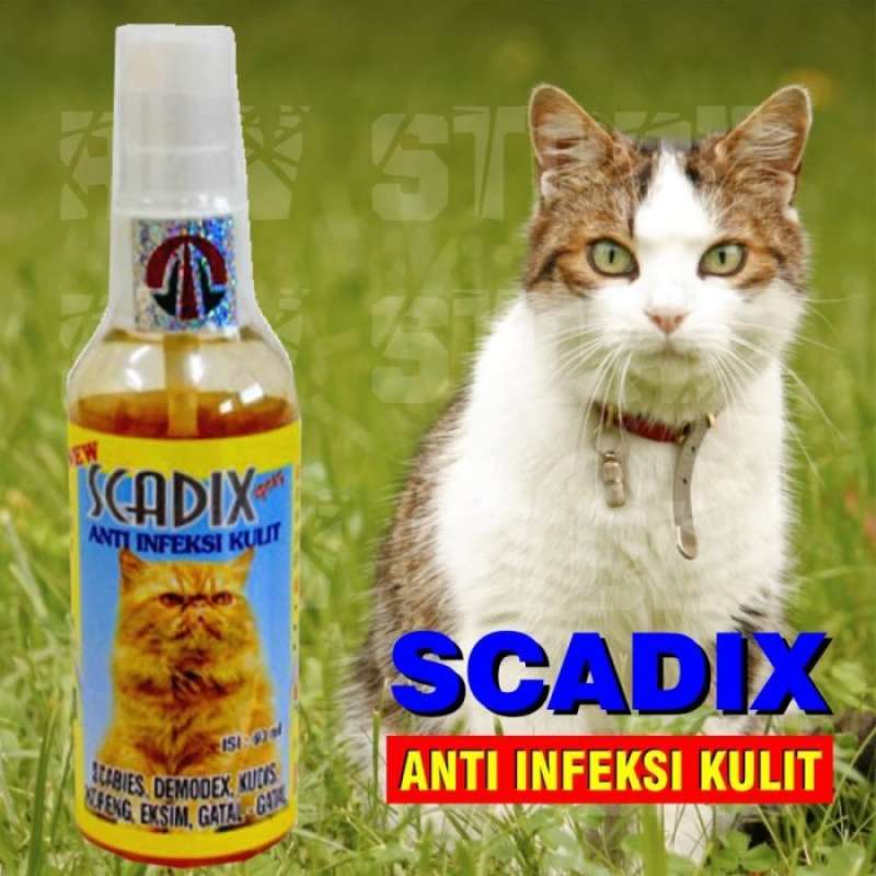 Jual Scadix Spray Obat Anti Scabies, Jamur Dan Infeksi Kulit Kucing