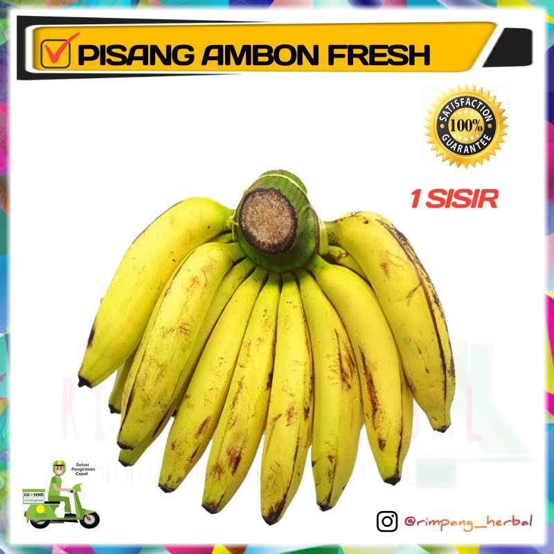 Jual Pisang Ambon / Buah Segar / 1 Sisir di Seller Rimpang Herbal