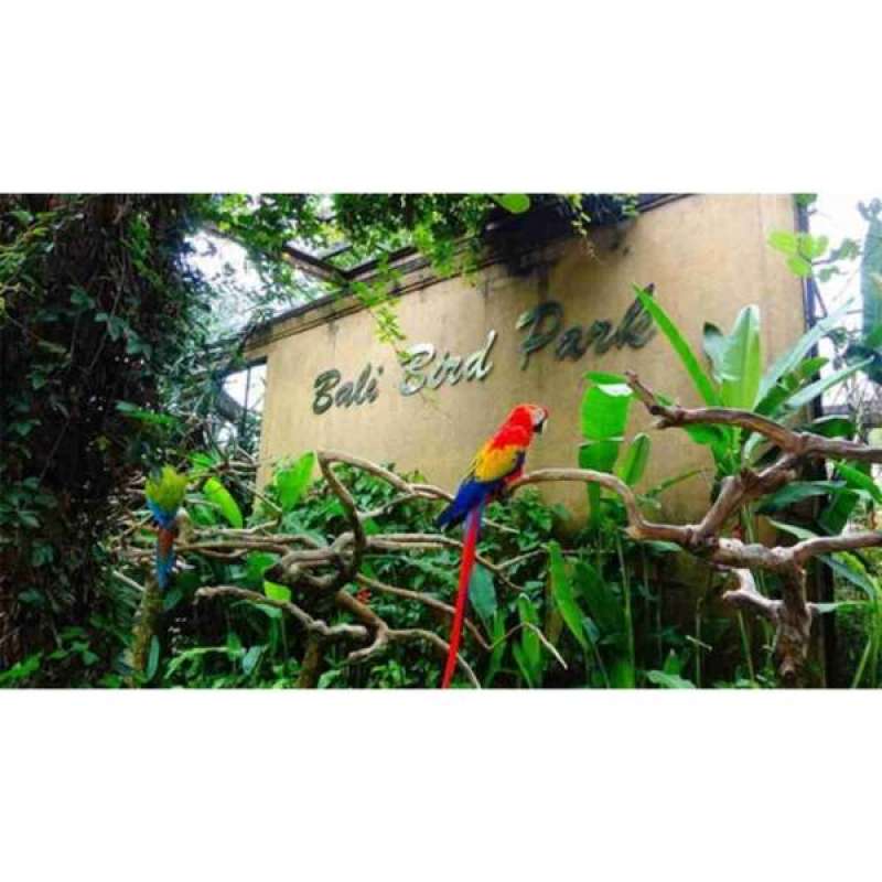 Promo Bali Bird Park Eticket (indonesian Id Card) Diskon 11 Di Seller