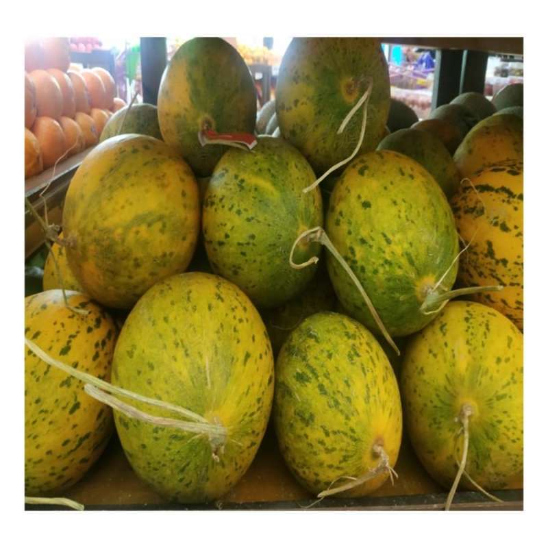 Jual Melon king Show hydroponic / pics Halal di Seller