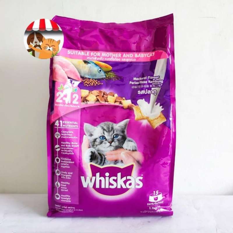 Jual Whiskas Junior Mackerel 1.1kg Whiskas Freshpack Makanan Kucing