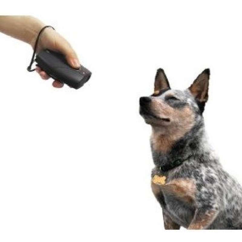 Jual Ultrasonic Dog Repeller Chaser Training with 2 Flashlights TJ