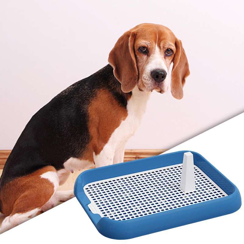 Jual Dog Toilet with Urinary Column Mesh Grids Indoor Pet Training