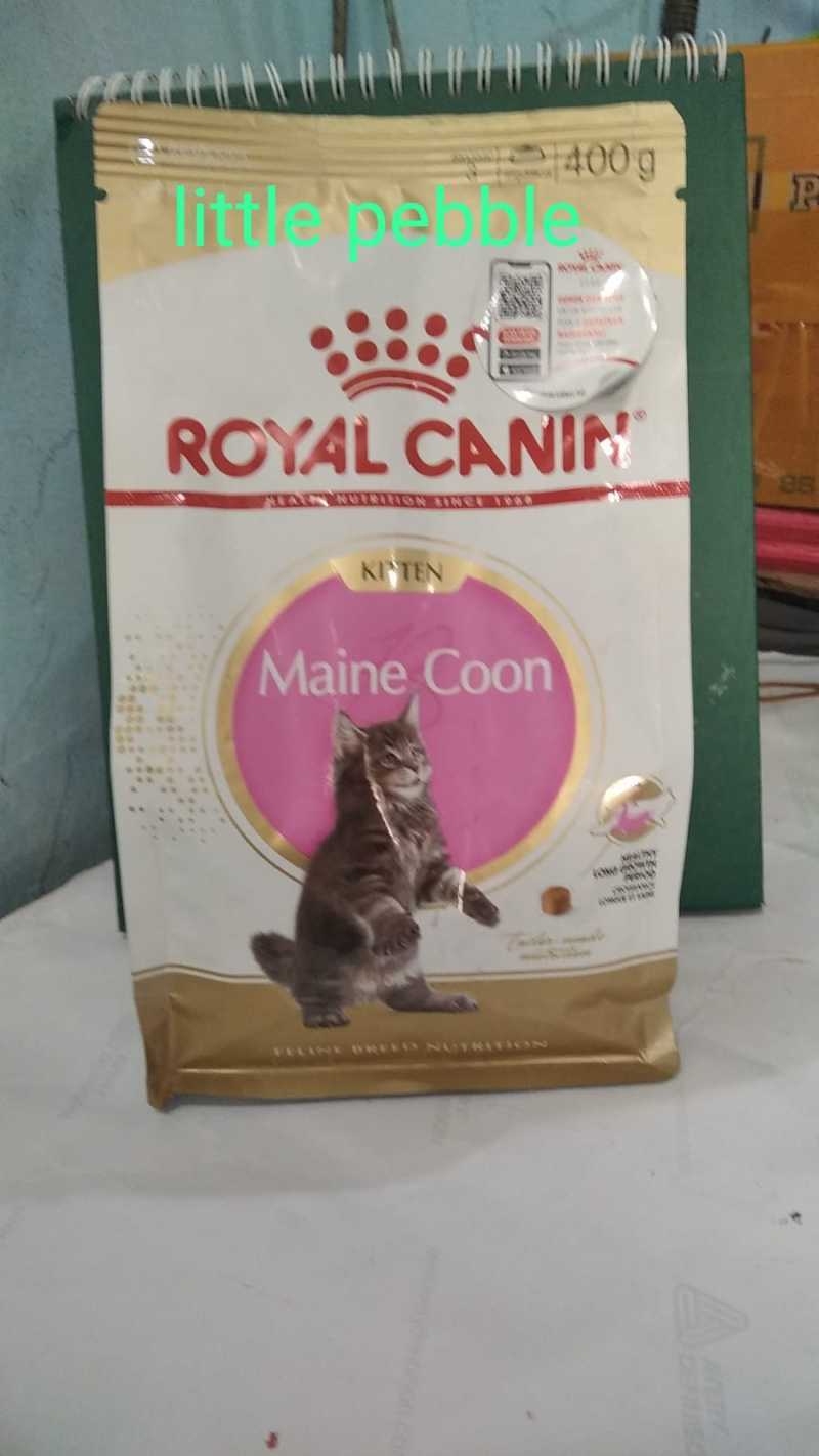 Jual Royal Canin Kitten Maine Coon 400g Makanan Kering Kucing Cat Food ...