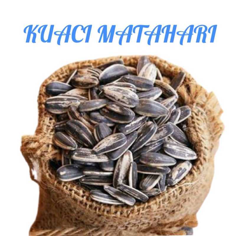 Jual Kuaci Matahari 500 Gram Manis - Kwaci Hitam Biji Bunga Matahari di ...