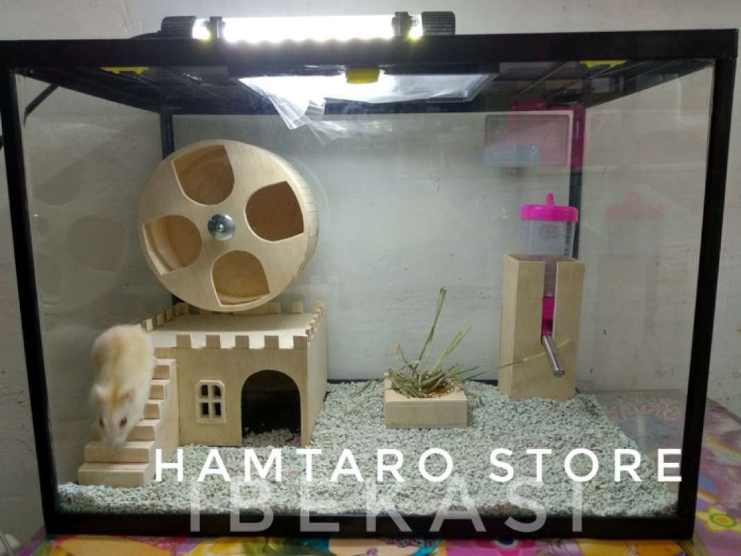 Promo Terarium Kandang Hamster Small , Semi Istana Fullset Aquarium