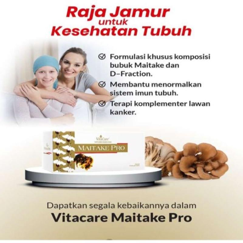 Jual Vitacare Maitake Pro Jamur Maitake Untuk Melawan Pertumbuhan