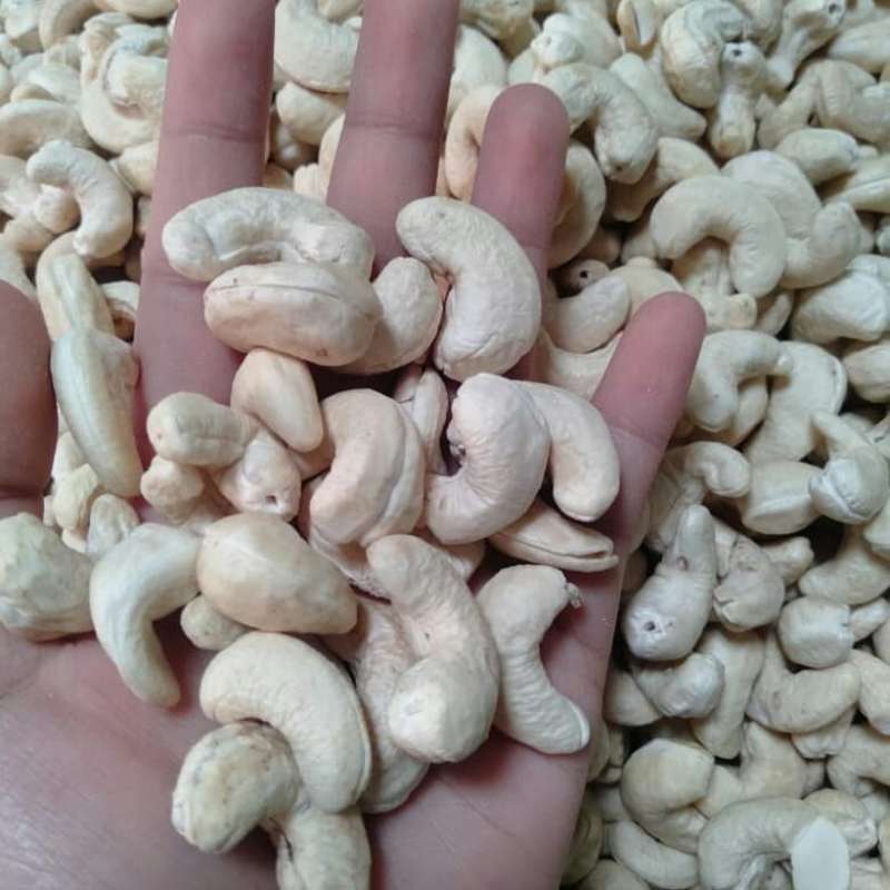 Jual kacang mete mentah kemasan hemat di Seller mente manis - Kab