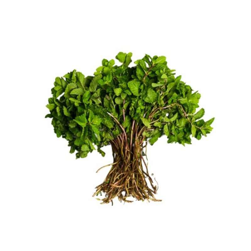 Jual Daun Mint 190 - 200 G Di Seller Ranch Market Flagship Store ...