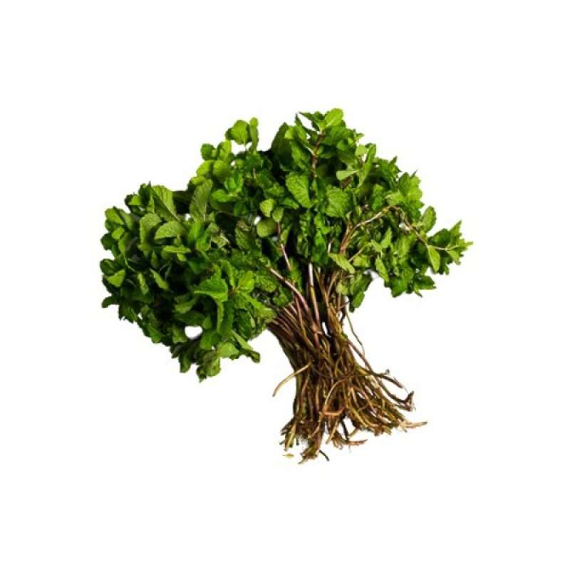 Jual Daun Mint 190 - 200 G Di Seller Ranch Market Flagship Store ...