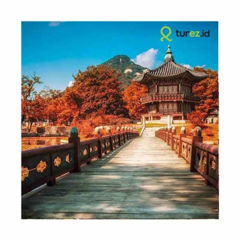 Jual Turez Annyeong Korea  Paket  Wisata  Internasional 5D3N 