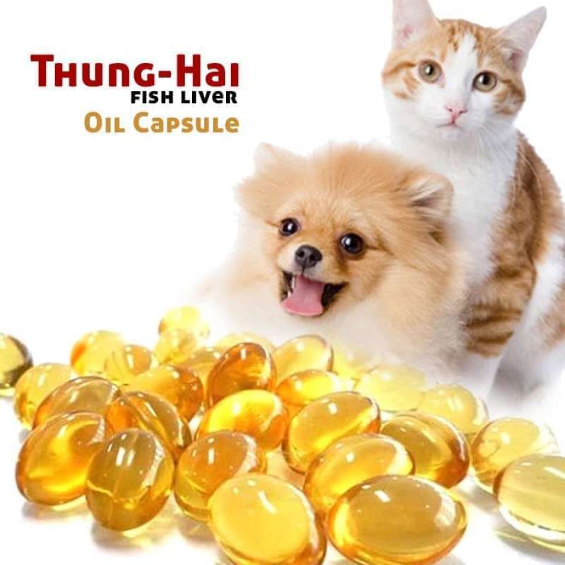 Jual [Isi 20 Butir] Minyak Ikan untuk Kucing Tunghai Fish Liver Oil