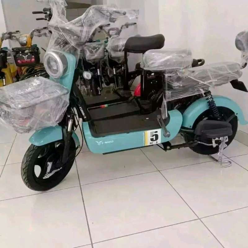 Jual SEPEDA LISTRIK AKI PENAMPUNAN CAS SIAP UTK ANAK-ANAK MAUPUN DEWASA
