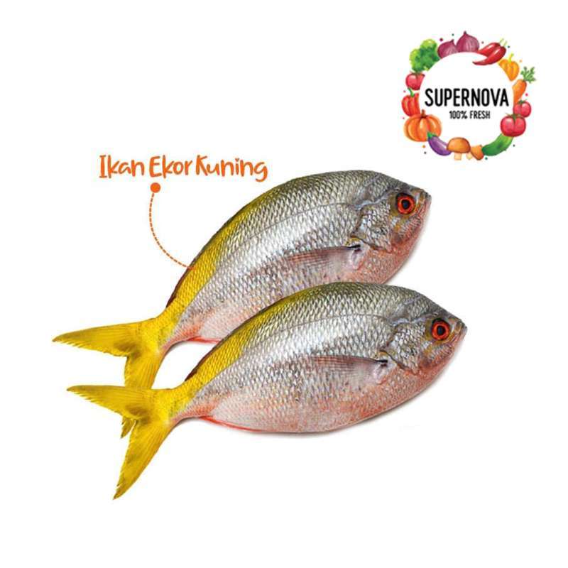 Kakap Ekor Kuning Goreng - 16 Resep Ikan Rica Kuning Enak ...