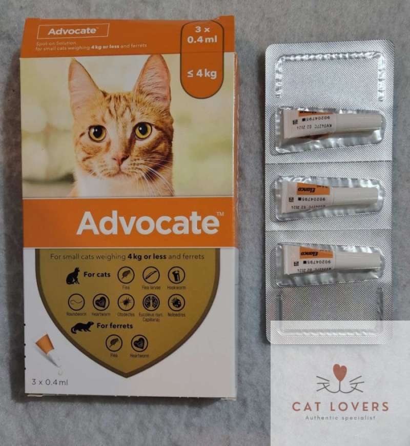 Jual Advocate Kucing - Obat Kutu Kucing di Seller DENTA PET SHOP ...