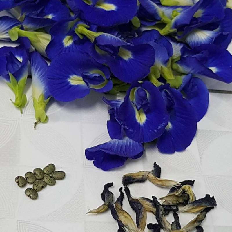 Tamburo Freno Posteriore FA Italia Per Vespa PX - Ricambio Originale - Foto 2