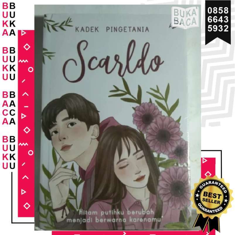 Resensi Novel Ipa Dan Ips Chachaii Ilustrasi