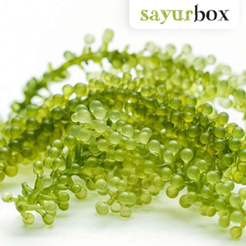 Jual Sea Grapes Local Product 100 gram Sayurbox JKT di Seller