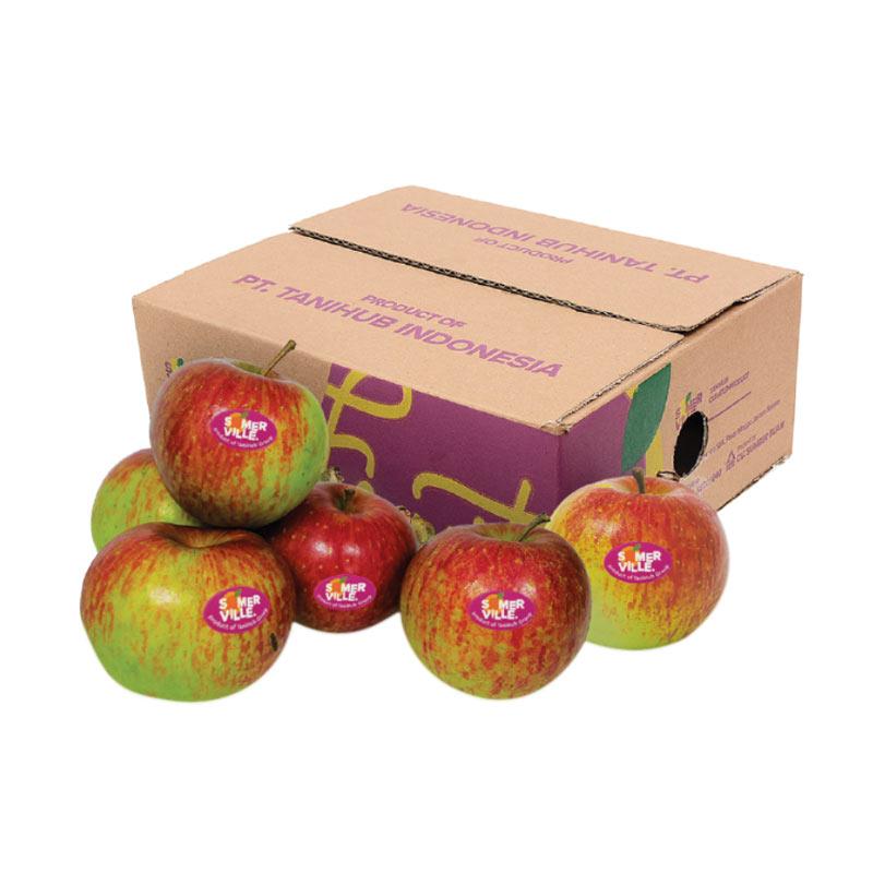 100+ gambar 2 dimensi buah apel Paling Keren - Gambar Pixabay