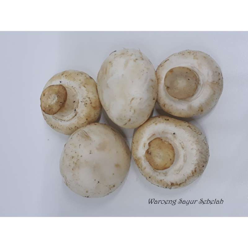 Jual Jamur Kancing 250 Gram Halal di Seller Warung Sayur Sebelah