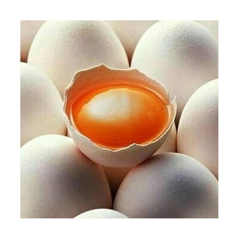 Jual Sajira Farm Telur Ayam Kampung Merah [30 Butir ...