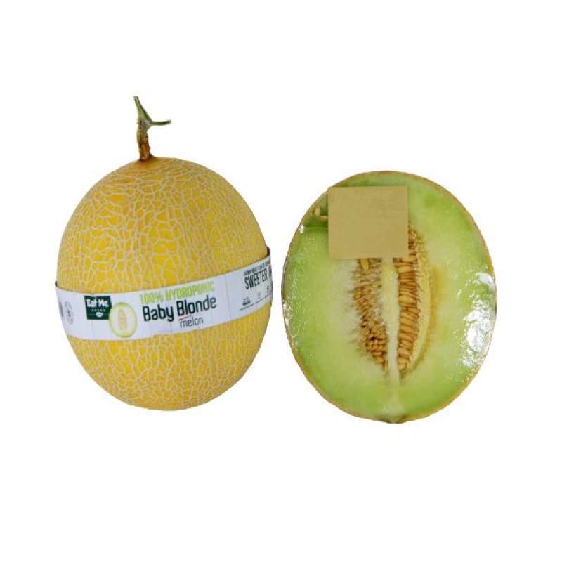 Jual Melon baby blonde 1,5kg di Seller Farmers Family Graha Bintaro Official Store Kota
