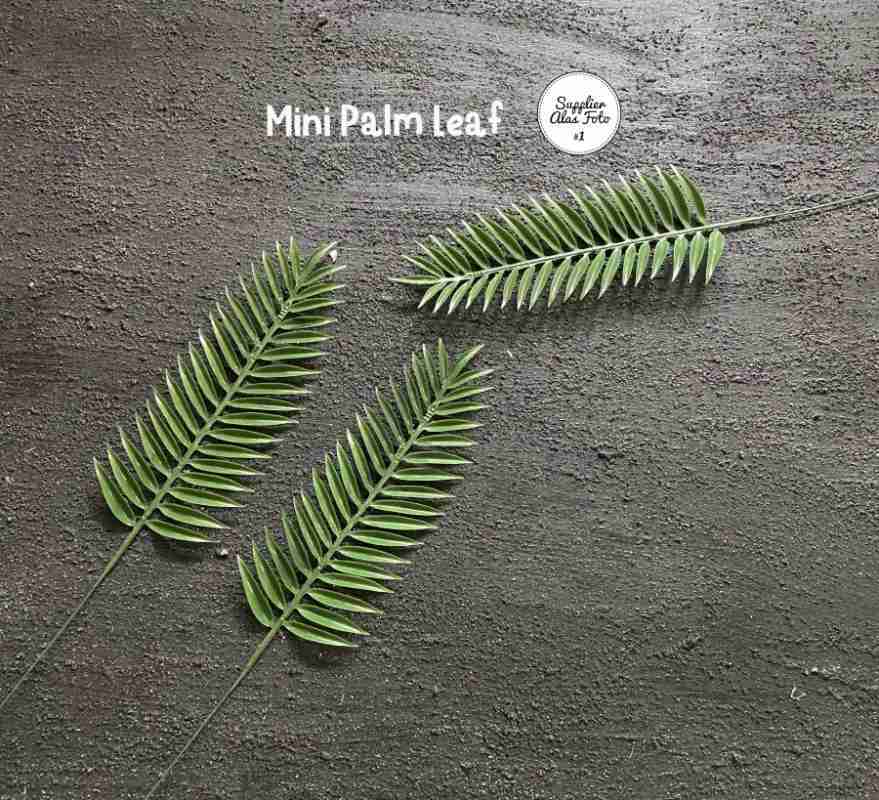 Jual mini palm leaf / daun palem pakis artificial props foto SAF di