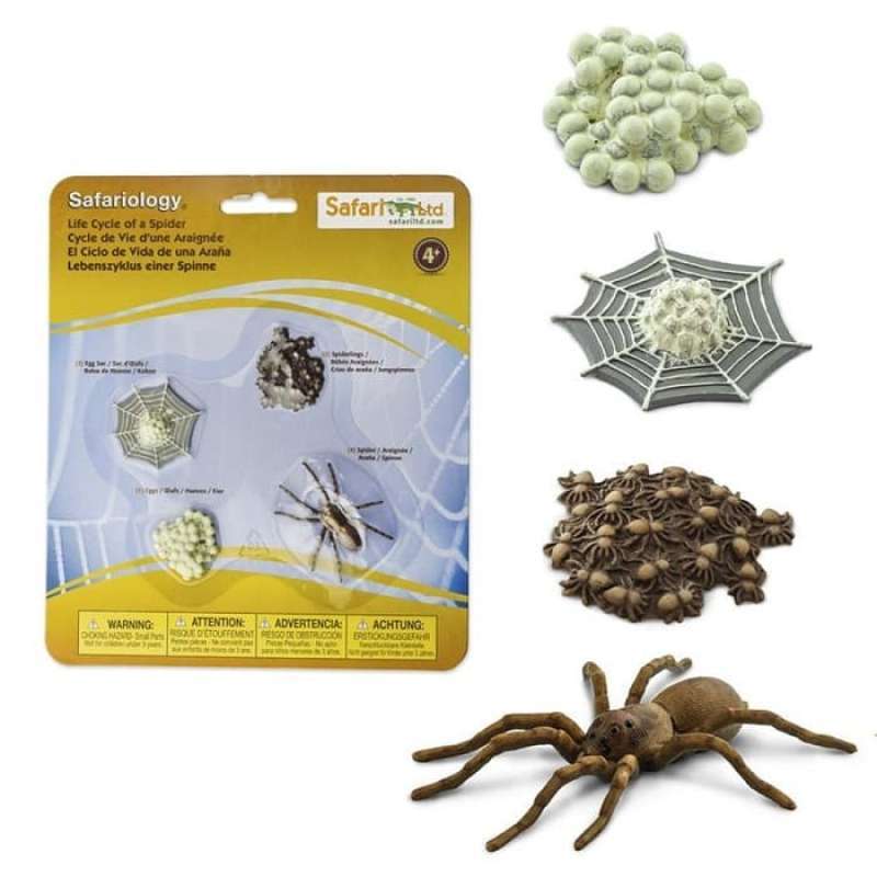 Jual Safari Ltd Life Cycle Of A Spider di Seller Kiedler - Petir, Kota ...