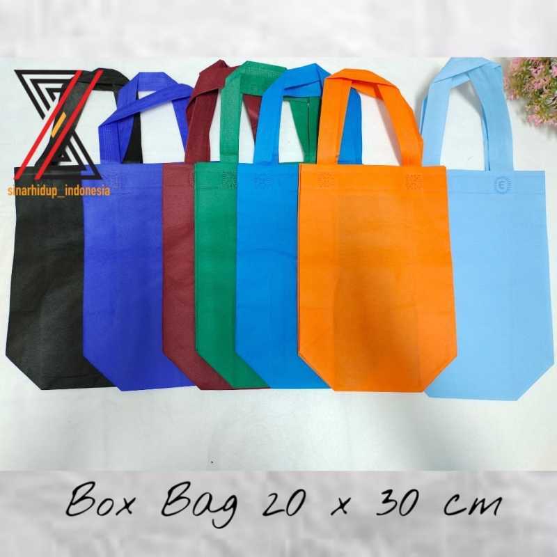 Jual Tas Kain / Goodie Bag BOX BAG SPUNBOND Uk 20 x 30 Per kodi di
