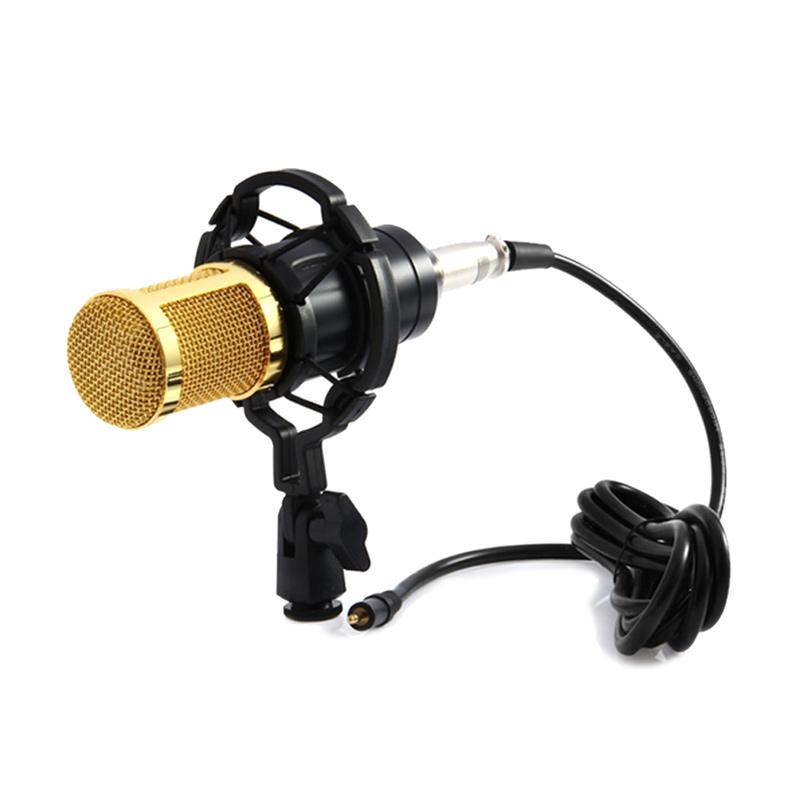 Jual LASER Microphone MIC BM 800 Full Set Peralatan Rekaman di Seller