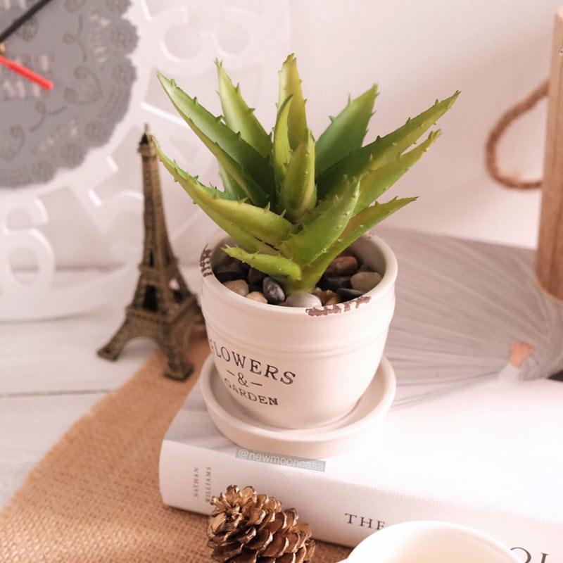 âˆš Oem Pot Keramik Dan Bunga Artificial Terbaru Agustus