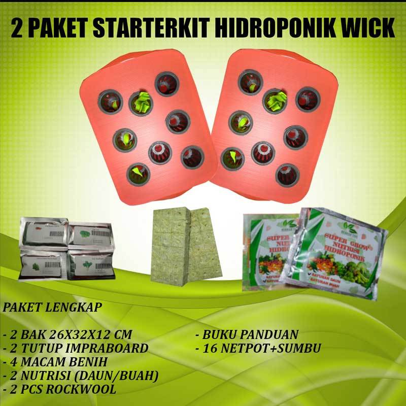 Pertanyaan Tentang Hidroponik Sistem Wick inspirasi