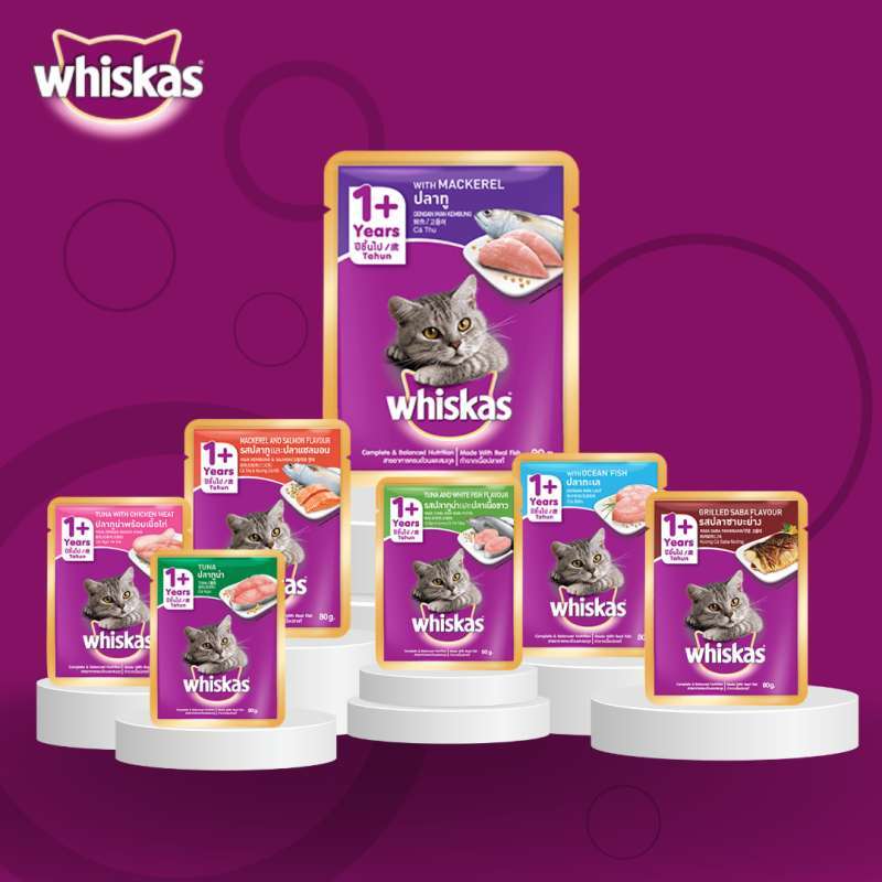 Jual Makanan Kucing Basah Pouch Whiskas Adult All Variant Sachet di