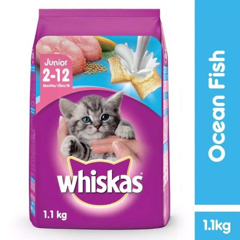 Jual Whiskas Junior 1,1 Kg Makanan Kering Kucing Kitten di Seller